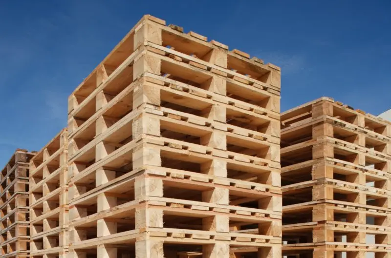 Pallet Safety Protocols for Maquiladoras